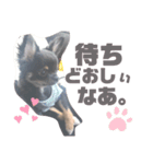 osoraのすたんぷ3（個別スタンプ：11）