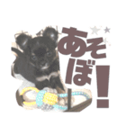 osoraのすたんぷ3（個別スタンプ：14）