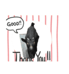I love みんなの動物園（個別スタンプ：2）