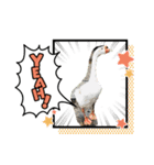 I love みんなの動物園（個別スタンプ：5）