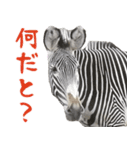 ほほえみフレンズ。シマウマの日常生活（個別スタンプ：12）