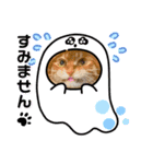 Ginger Tabby Cat Brothers 11（個別スタンプ：8）