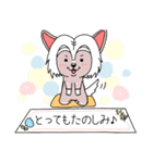 ちゃいくれ！しゃんぷー（個別スタンプ：28）