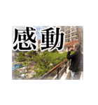 沖縄社員旅行2020 ★ 記念スタンプ（個別スタンプ：36）