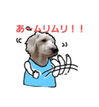 白シュナ ジャックの日常（個別スタンプ：7）