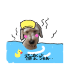 白シュナ ジャックの日常（個別スタンプ：8）