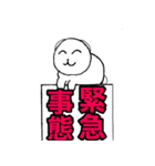 丸い白猫の日々（個別スタンプ：12）