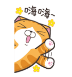 ランラン猫 21 (台湾版)（個別スタンプ：1）