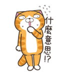 ランラン猫 21 (台湾版)（個別スタンプ：8）