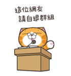 ランラン猫 21 (台湾版)（個別スタンプ：14）