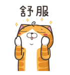 ランラン猫 21 (台湾版)（個別スタンプ：16）