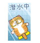 ランラン猫 21 (台湾版)（個別スタンプ：35）