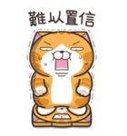 ランラン猫 21 (台湾版)（個別スタンプ：37）