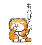 ランラン猫 21 (台湾版)（個別スタンプ：40）