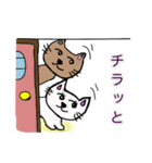 表情豊かな猫蔵＆ネコリン（個別スタンプ：29）