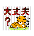 子虎のチャイくんのデカ文字（個別スタンプ：21）