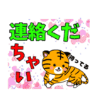 子虎のチャイくんのデカ文字（個別スタンプ：38）