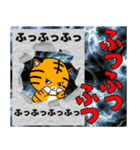 子虎のチャイくんのデカ文字（個別スタンプ：40）