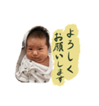 杏ちゃんスタンプ#1（個別スタンプ：5）