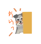 おじいちゃん眉毛の犬（個別スタンプ：6）