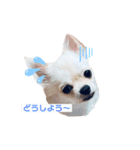 かまってメリーくん（個別スタンプ：2）