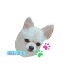 かまってメリーくん（個別スタンプ：3）