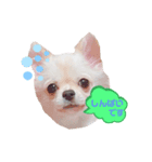 かまってメリーくん（個別スタンプ：4）