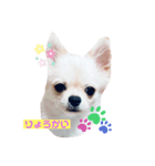 かまってメリーくん（個別スタンプ：5）