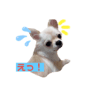 かまってメリーくん（個別スタンプ：6）