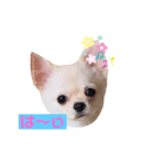 かまってメリーくん（個別スタンプ：7）