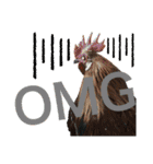 Chicken emotions 2（個別スタンプ：4）