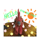 Chicken emotions 2（個別スタンプ：5）