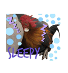 Chicken emotions 2（個別スタンプ：6）