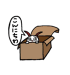 赤耳うさぎの日常会話（個別スタンプ：28）