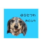 うりな（個別スタンプ：9）