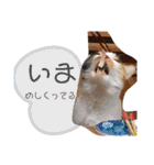 うりな（個別スタンプ：10）