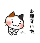 おうち＊ねこ（個別スタンプ：13）