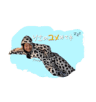 リサ祭り（個別スタンプ：8）