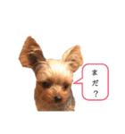 ミント君の日常（個別スタンプ：24）