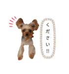ミント君の日常（個別スタンプ：32）