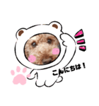 2020秋 coco（個別スタンプ：2）