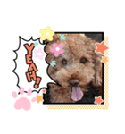 2020秋 coco（個別スタンプ：3）