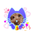 2020秋 coco（個別スタンプ：4）