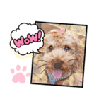 2020秋 coco（個別スタンプ：5）