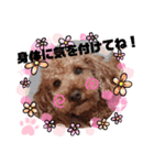 2020秋 coco（個別スタンプ：7）