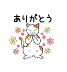 ねこちゃんいっぱい3.4 よく使う言葉（個別スタンプ：4）