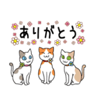 ねこちゃんいっぱい3.4 よく使う言葉（個別スタンプ：5）