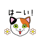 ねこちゃんいっぱい3.4 よく使う言葉（個別スタンプ：8）