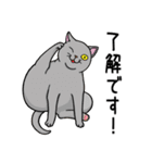 ねこちゃんいっぱい3.4 よく使う言葉（個別スタンプ：11）