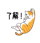 ねこちゃんいっぱい3.4 よく使う言葉（個別スタンプ：12）